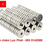 Nam châm đất hiếm