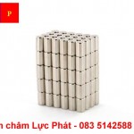 Nam châm đất hiếm 